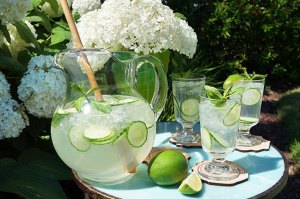 Cocomut Citrus Mint Cooler